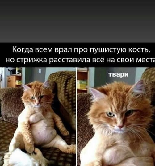 Понедельника картинки