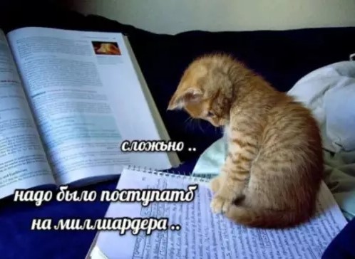 Котямбосы