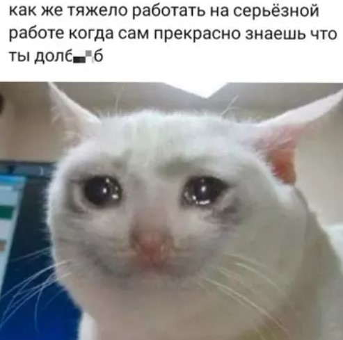 Пакет брать будете?