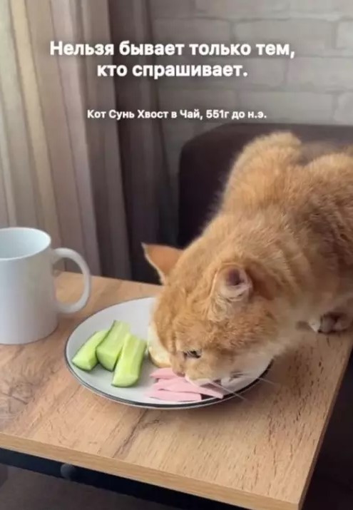 Картиночки, баянчики 01 апреля