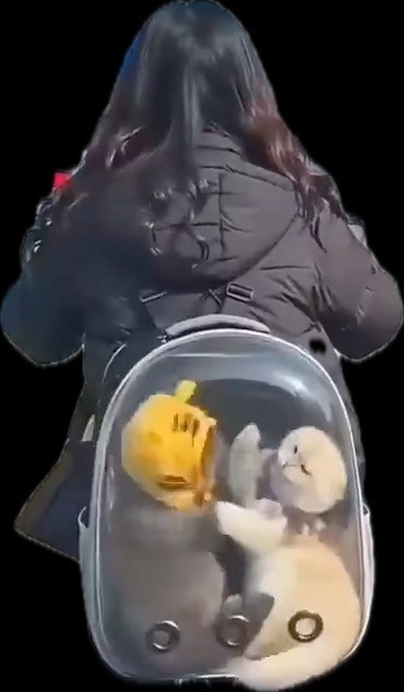 Ты кому сигналишь дядя?