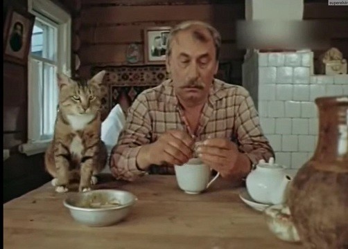 Как кошки относятся к алкашам?