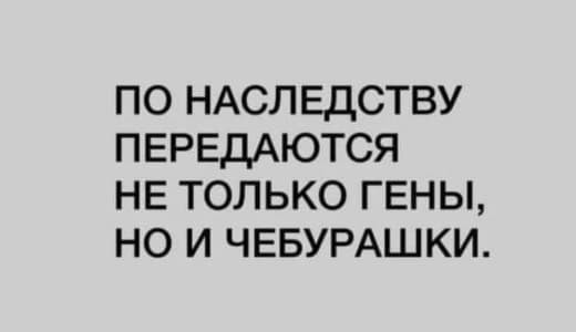 Картинки для деградации 209 (разной степени свежести)