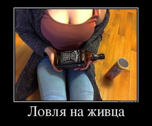 Картинки для деградации 239 (разной степени свежести)