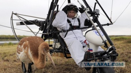 Кто же король неба? F-35 или T-50?