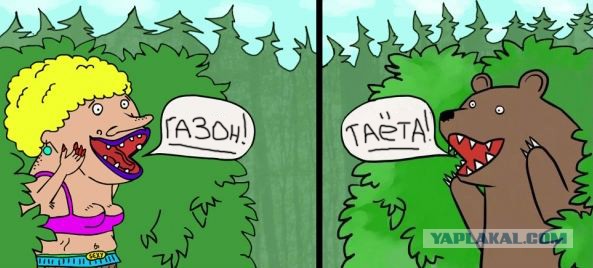 Оставленную на газоне «Тойоту» расписали...