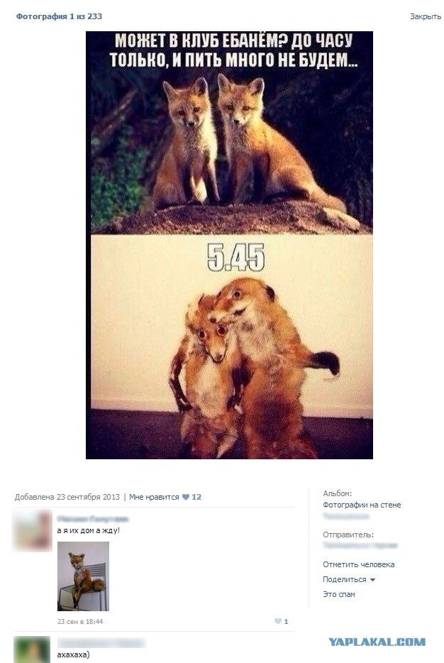 Смешные комментарии из социальных сетей.