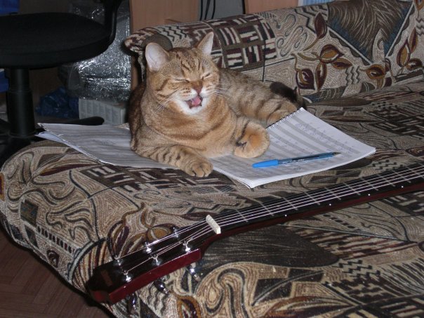 А у тебя есть фото твоей зевающей котейки ?