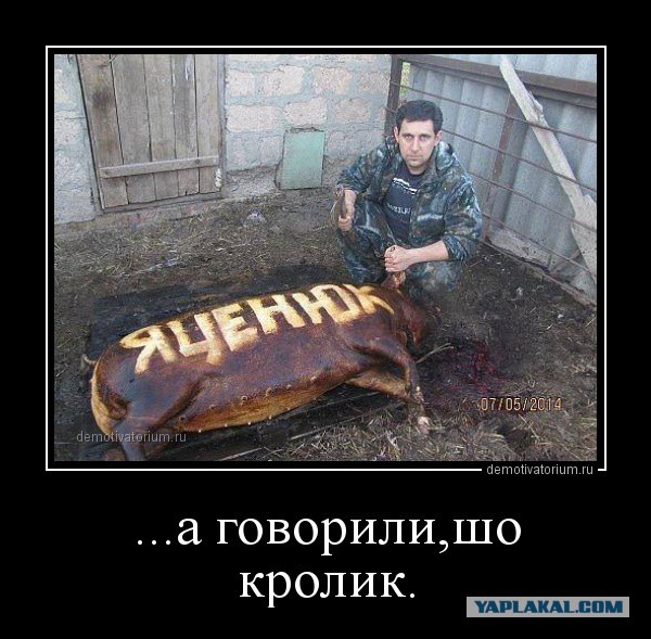 Украина не объявит дефолт – Яценюк