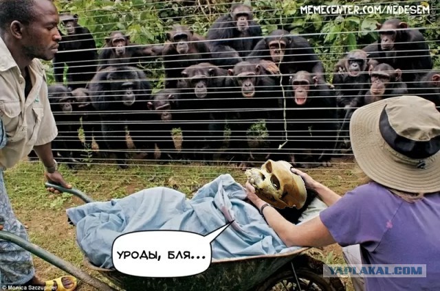 Шутка оказалась неудачной