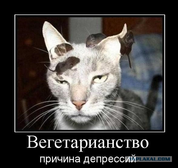 Демотиваторов пост, добавляйте свои