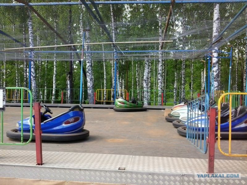Автодром в лесу