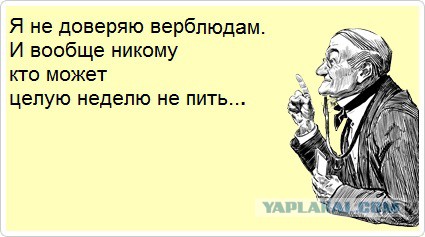 Соседи