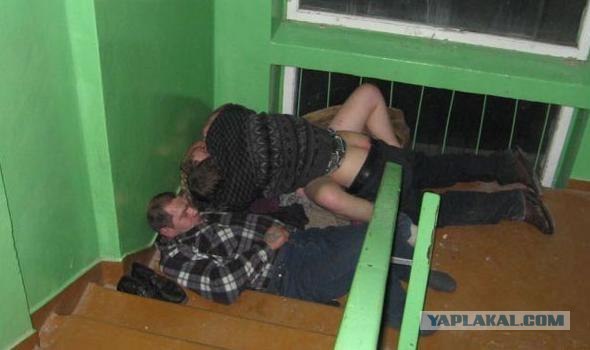 Любопытные соседи
