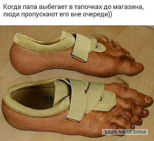 Весёлое из сети