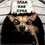 Хозяин