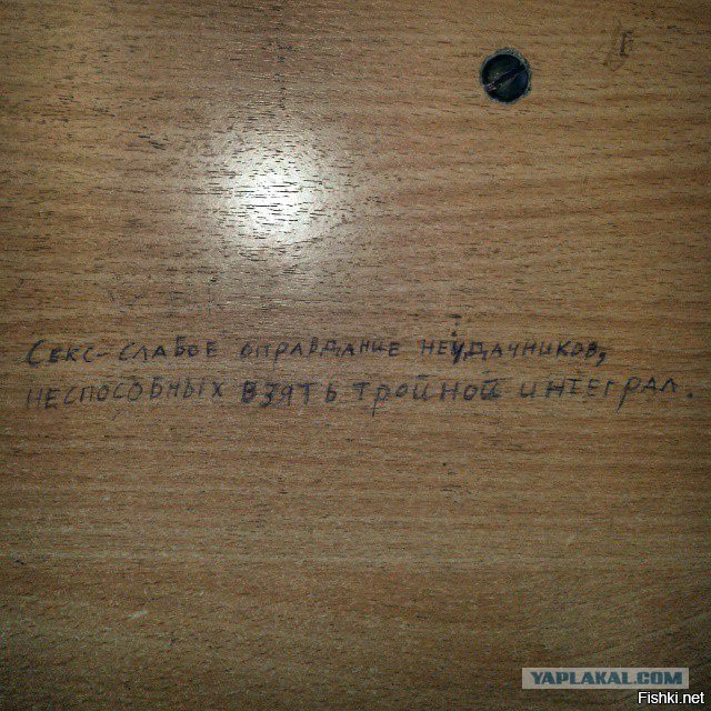 Забавные картинки из сети