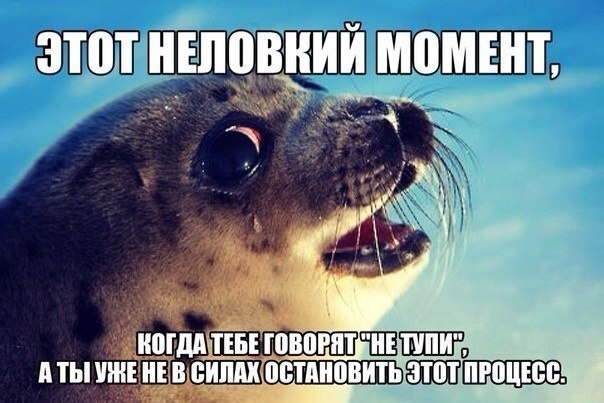 Забавные картинки из Сети