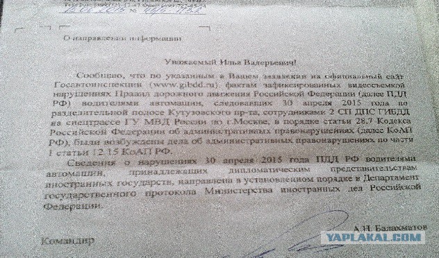 Битва за газон (часть 2)