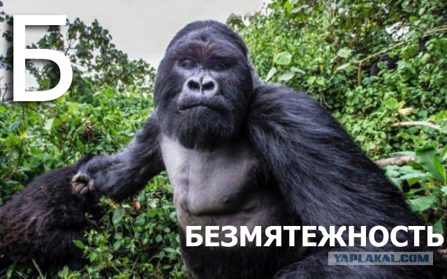 Фото, открывающие мир с неожиданной стороны
