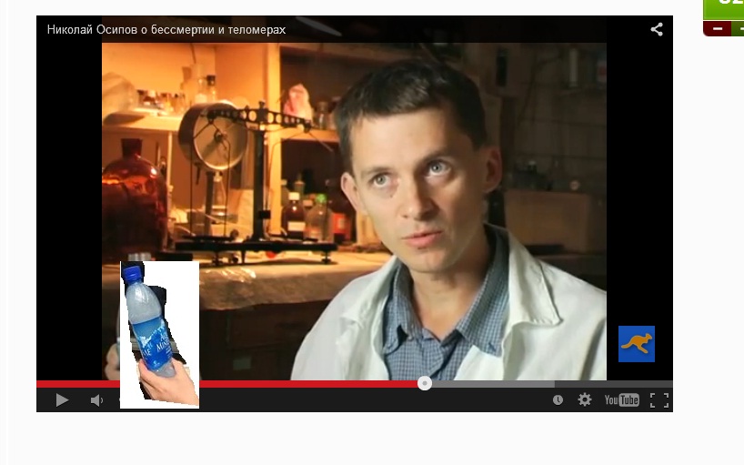 Николай Осипов, футбол - Блог на Sports.ru