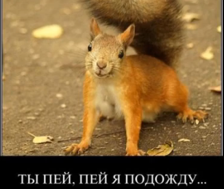 Разрушители мифов уже не те...