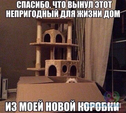 КОТЭдж