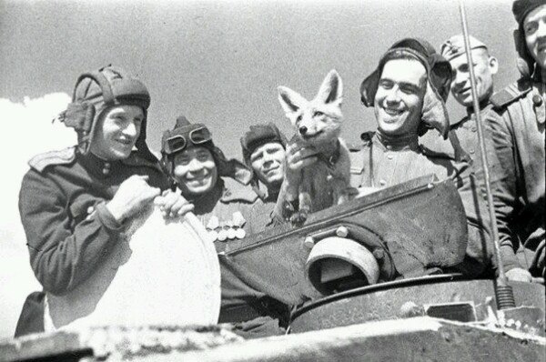 Редкие кадры, которые надо увидеть ч.2