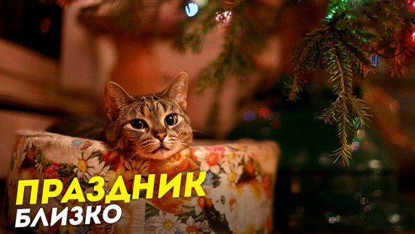 Картинки на утро вторника
