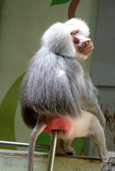 Абсурдный юмор ч.2