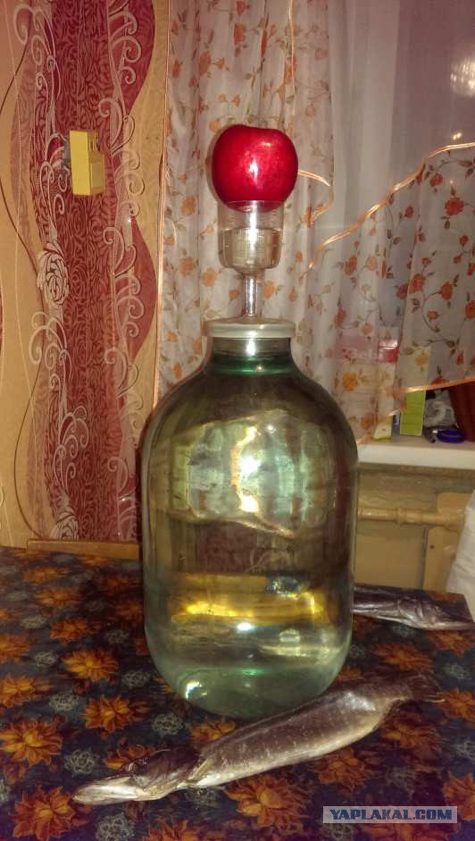 Кризис - кушать стало нечего...