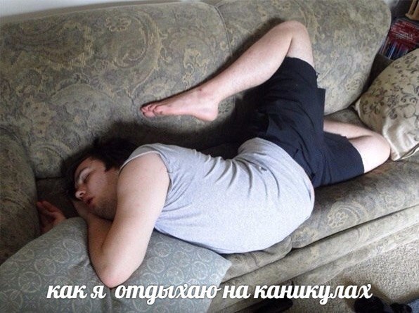 Забавные картинки из Сети