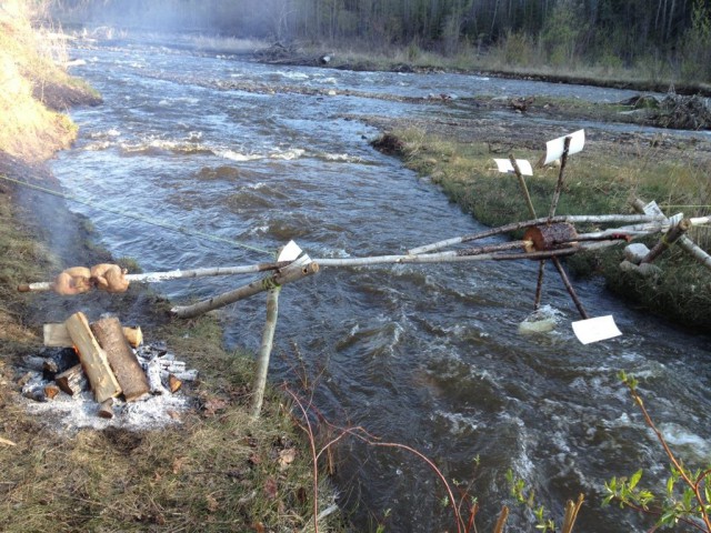 Подборка интересных и веселых картинок