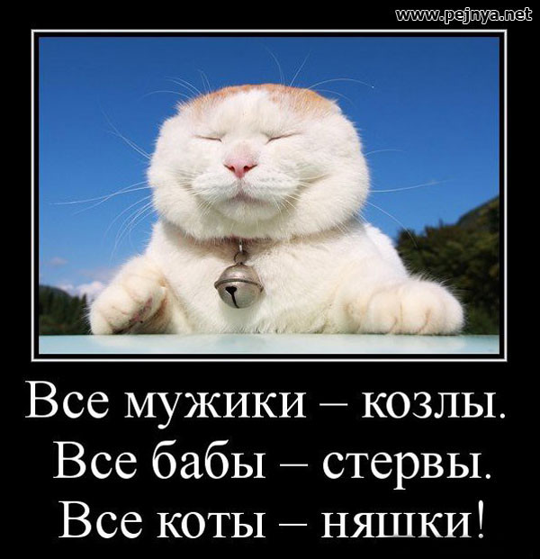 Подборка картинок