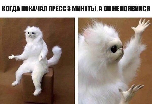 Фотограммы #да ты упоротый штоле? #немншк