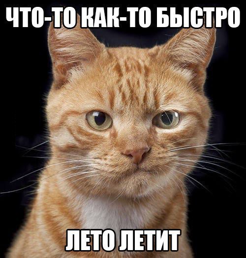 Подборка интересных и смешных картинок