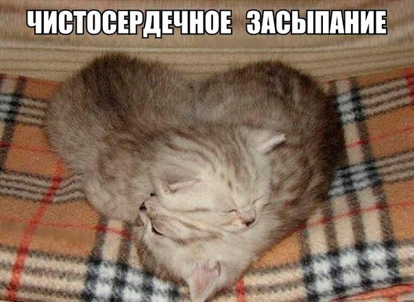 Мохнатые беспредельщики