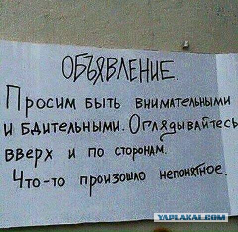 Смешные комменты из соцсетей и другие приколы.