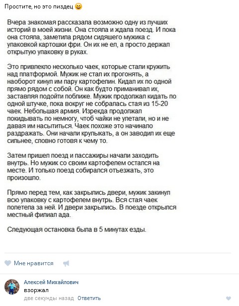Ужасы и приколы из соцсетей 18+