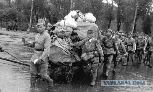 Дисциплина не спасла японскую армию. Маньчжурия 1945 г.
