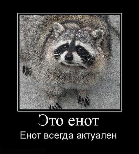Трэш, угар, украинство