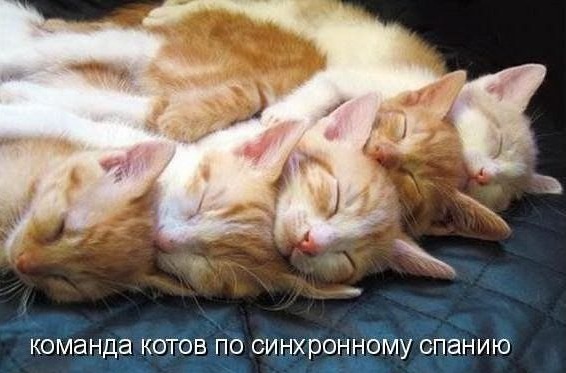 Немножко картинок с буквами, типа демотиваторы