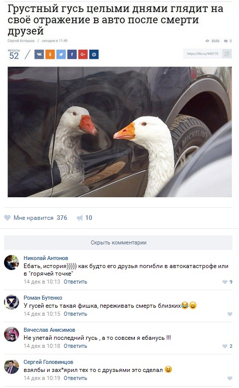 Ужасы и приколы из соцсетей 18+