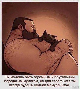 Разные картинки