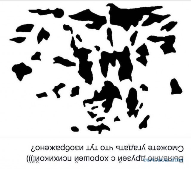 Голову сломал уже