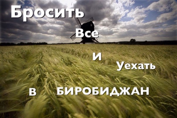Абсурдная и циничная тупизна