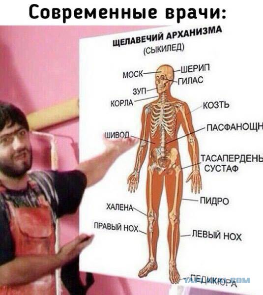 Пятничная деградация! Ура, товарищи!