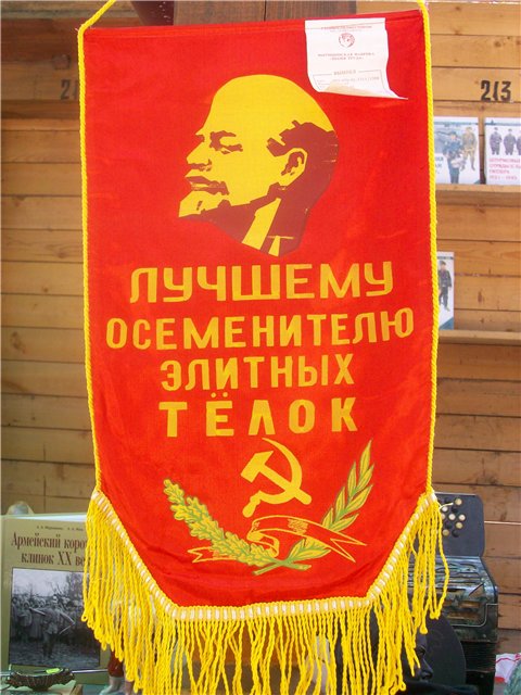 Подборка интересных и веселых картинок