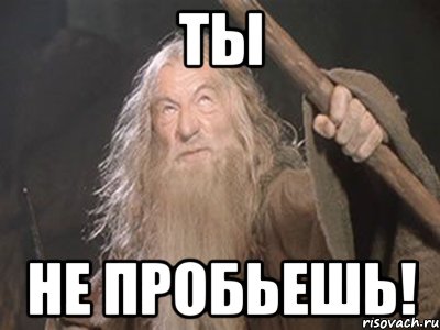 Кошачья Буффон-ада