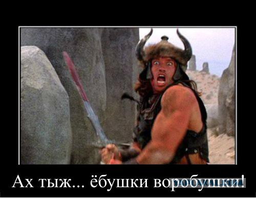 Морской огурец просыпается, чтобы поесть